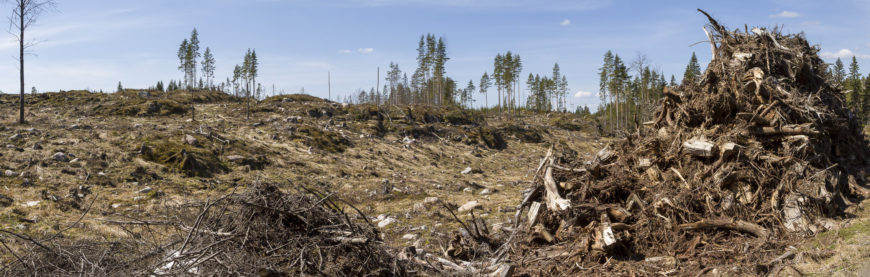 © Petteri Tolvanen