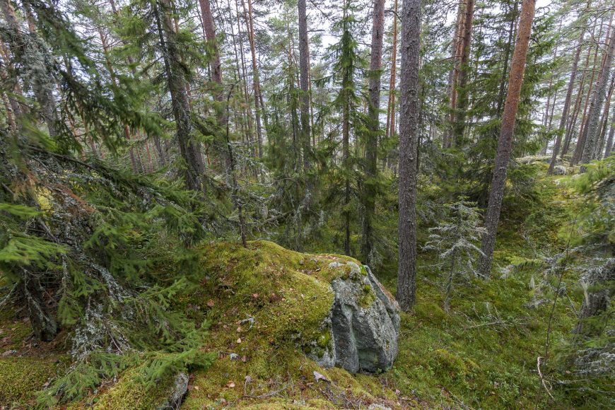 Eräpyhä